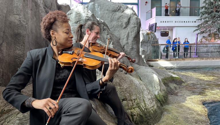A whale of a performance at the Shedd – Chicago Sun-Times