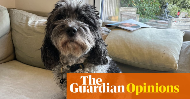 Digested week: Mum has died and my dog has cancer. I skipped World Happiness Day | John Crace – The Guardian