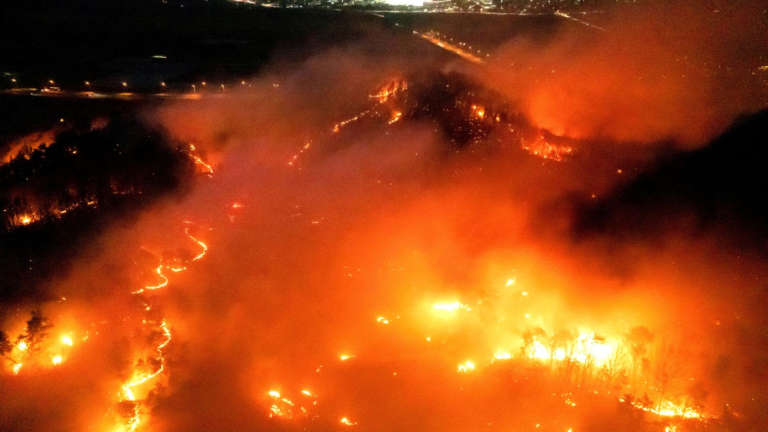 'Worst ever' wildfires rage in South Korea, killing at least 24 people – Sky News