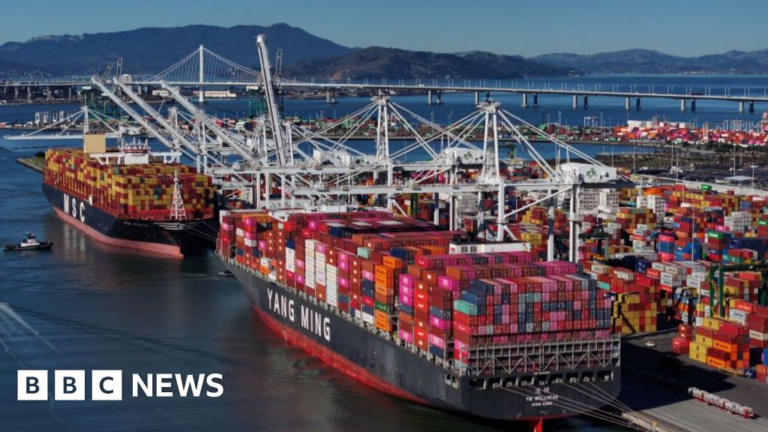 Trump tariffs: 'Worst offenders' around world face high import taxes, says White House – BBC