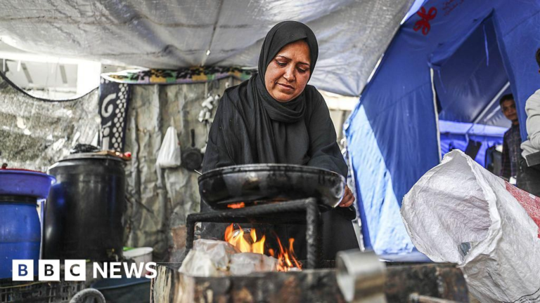 Gaza is a 'killing field', says UN chief, as agencies urge world to act on Israel's blockade – BBC